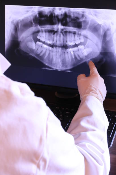 Best Emergency X-Rays and Diagnostics in Albertville, MN